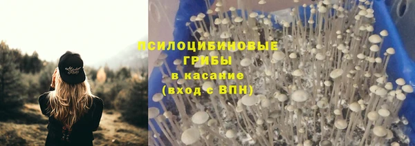 трава Алексин