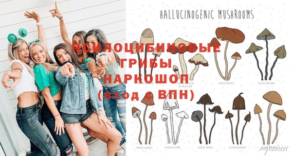 прущая мука Абдулино